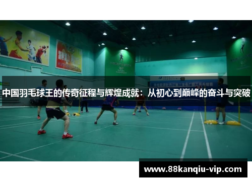 中国羽毛球王的传奇征程与辉煌成就：从初心到巅峰的奋斗与突破